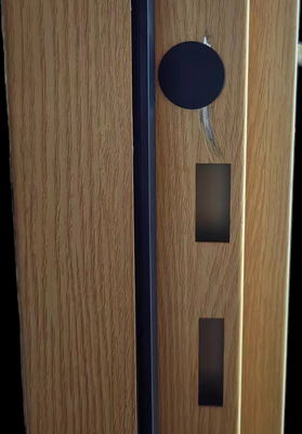 Portas acústicas de aço, à prova de ruído, fechadas por 40 dB