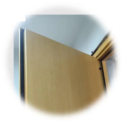 STC 40+ 3 DB Porta à prova de som para privacidade e conforto em edifícios residenciais